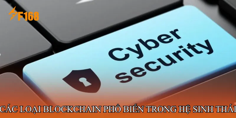 Các loại blockchain phổ biến trong hệ sinh thái hiện đại 